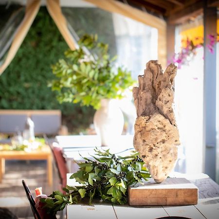 Pin De Stelle Bed & Breakfast San Martino  Ngoại thất bức ảnh